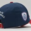 Casquettes-Dreep-LC-05 Casquette Dreep Lions Cubs Limoges Handball arrière droite